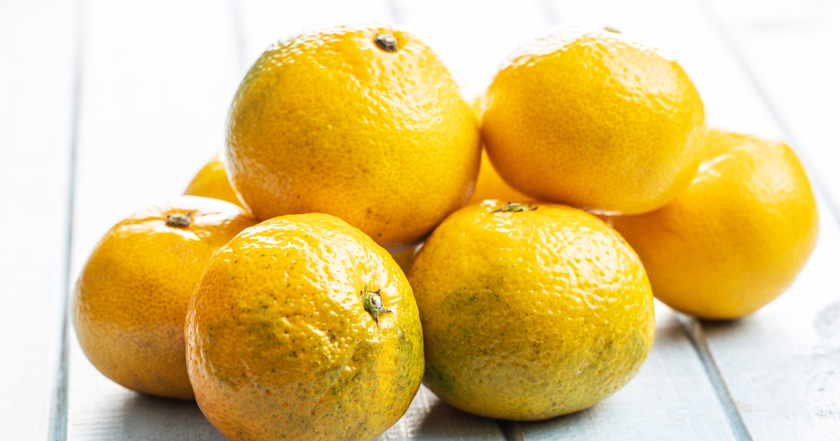 はるかはどんな果物？見た目と味のギャップに驚く柑橘の魅力を徹底解説