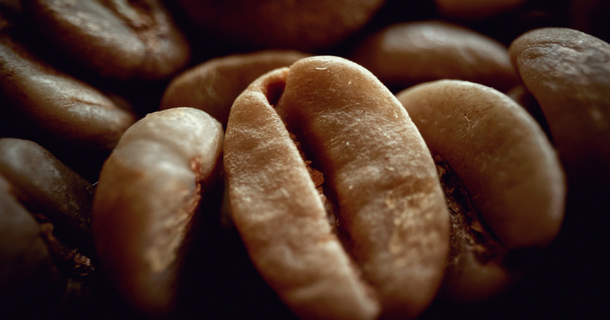 珈琲生産国を徹底解説｜コーヒーベルトの国々と経済への影響とは？