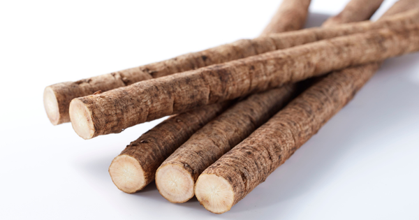 ごぼうを長持ちさせる保存術：風味と食感をキープする秘訣