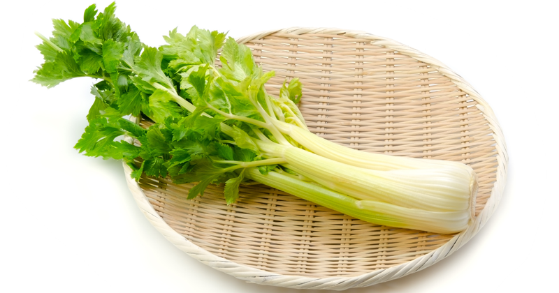 セロリの収穫時期：美味しいセロリを収穫するための完全ガイド