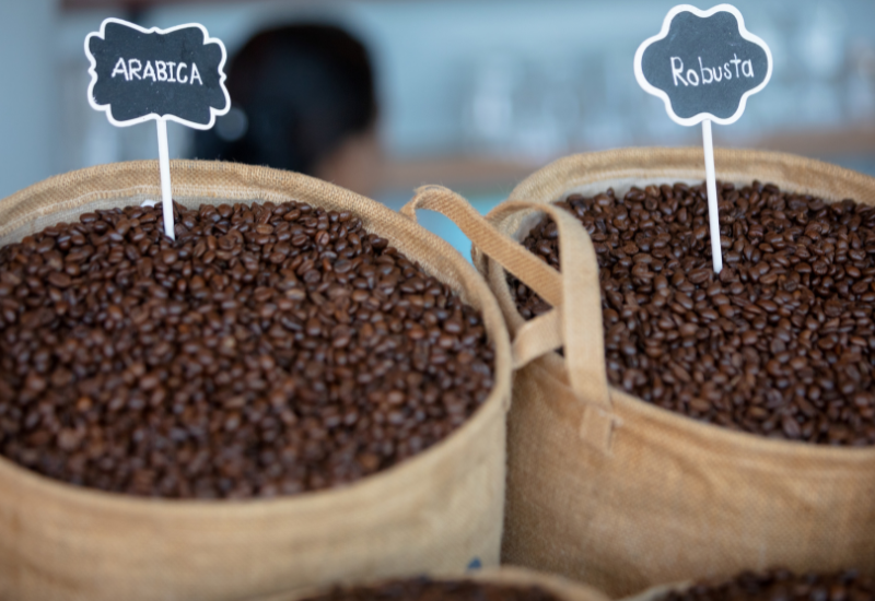 ロブスタ vs アラビカ: コーヒー豆の二大巨頭、その違いと特徴