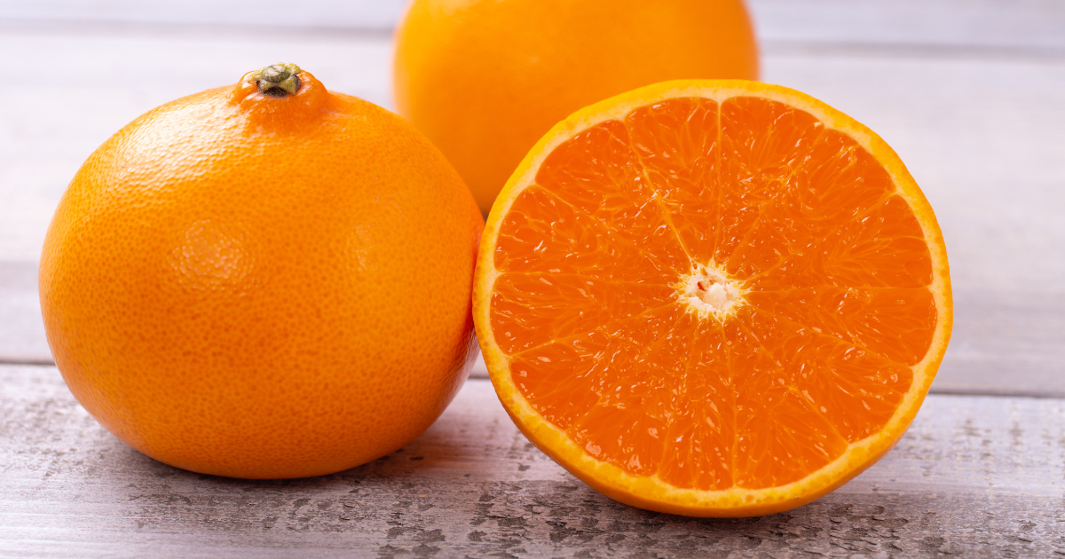 柑橘の大トロ「せとか」：凝縮された甘さと香りの秘密