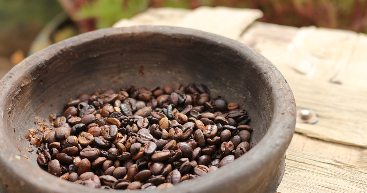 珈琲アラビカの魅力完全ガイド：品種・栽培・味わいの秘密