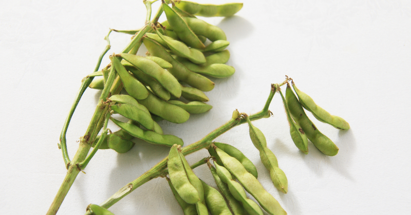 【枝豆の基本と品種】選び方のコツから新潟のおすすめまで徹底解説