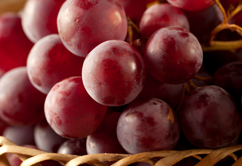 【栽培農家がゴールドを語る】激レアぶどう「フィンガー」の魅力と秘密