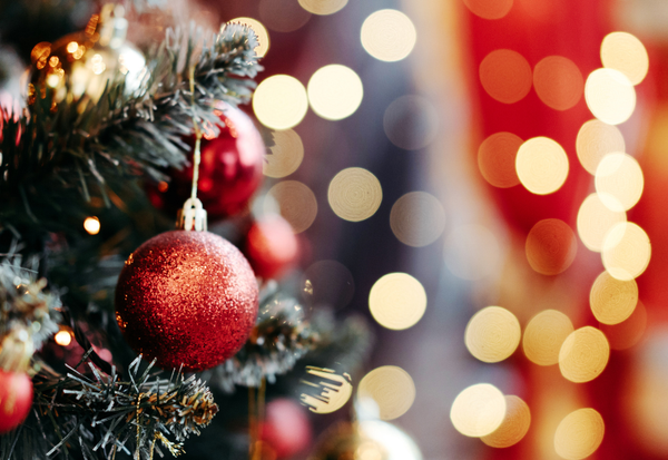 シルバーベルの味わいを徹底解剖：芳醇な香りと濃密な甘さ、繊細な酸味の調和