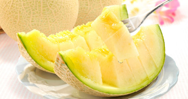 7月に種まきできる？プランターで育てるメロン栽培のコツ