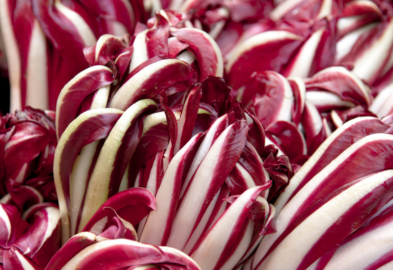 ラディッキオ（トレビス）とは？：特徴・栄養・食べ方・レシピを徹底解説