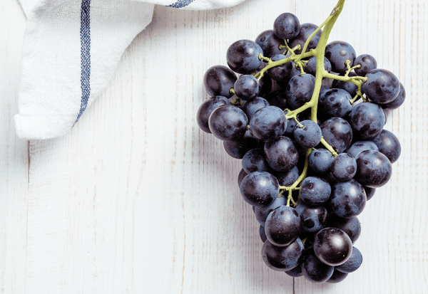 ブドウの種は食べても大丈夫？安全性から栄養、美味しい食べ方まで徹底解説