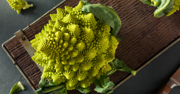 ロマネスコとは？特徴・栄養・調理方法まで徹底解説！