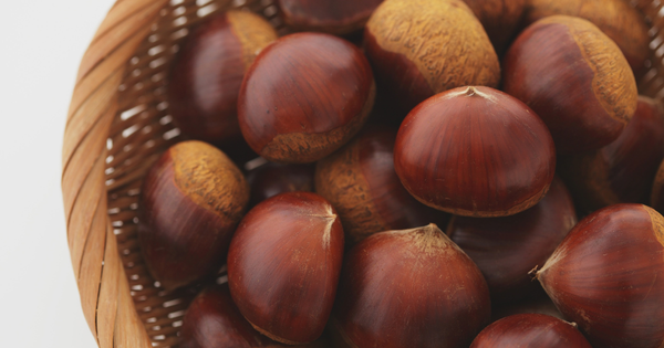 丹波栗：和菓子の王様、その歴史と魅力に迫る