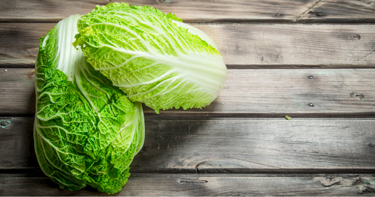 家庭菜園で白菜を育てよう！初心者でも失敗しない栽培方法：特徴から栽培方法まで徹底解説