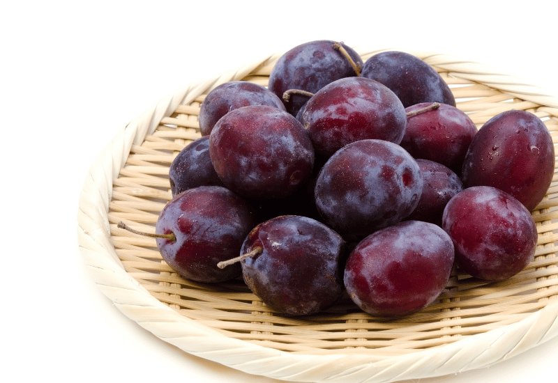 プルーン収穫時期：旬を逃さず収穫するための完全ガイド