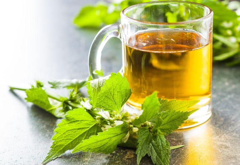 疲労回復飲み物