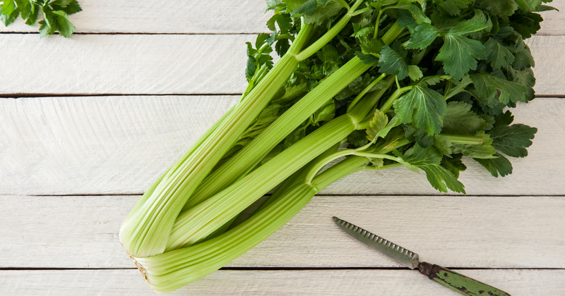 セロリの栄養を徹底解剖！茎と葉の違いから効果的な食べ方、保存方法まで