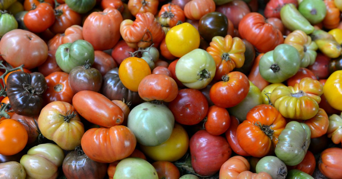 珍しい野菜の名前