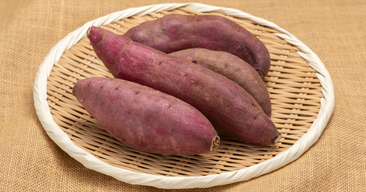 さつまいも栽培は肥料いらずが基本!豊かな収穫のための土壌準備と管理、失敗回避の秘訣を徹底解説