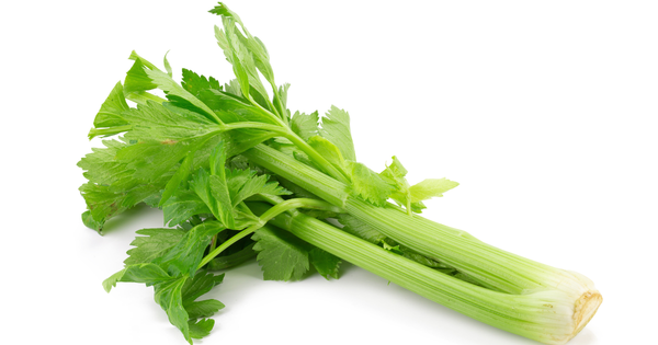 セロリを長持ちさせる冷凍保存術！風味を逃さず賢く使い切る方法