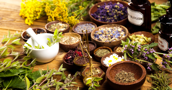 ハーブの使い方：料理から美容、癒しまで生活を豊かにする活用術