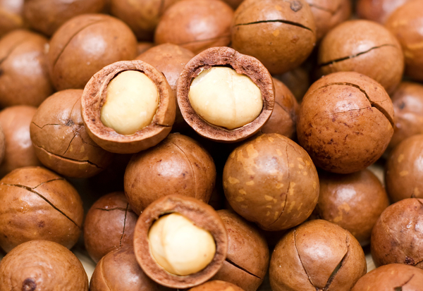 マカダミアナッツ食べ過ぎ：知っておくべきリスクと適切な摂取量