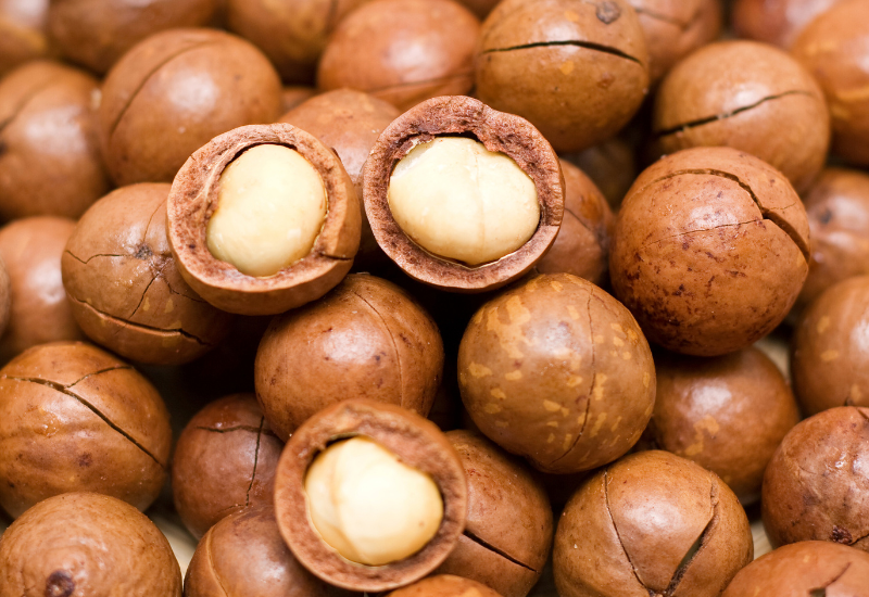 マカダミアナッツ食べ過ぎ：知っておくべきリスクと適切な摂取量