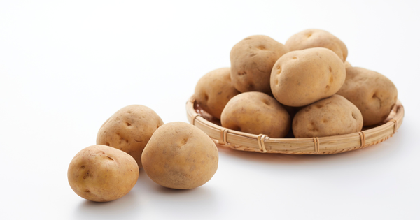 家庭菜園をエンジョイ！ジャガイモ栽培のノウハウ完全ガイド