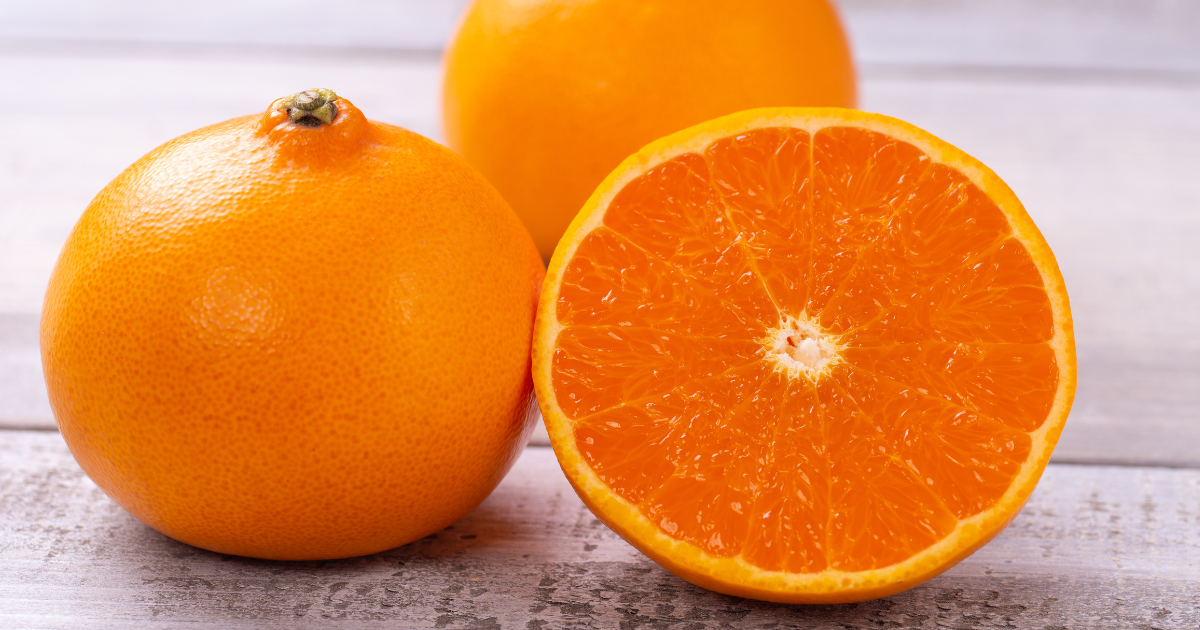 せとか柑橘：柑橘の大トロと称される、とろける極上の味わい