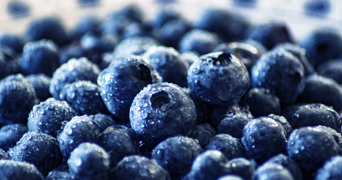 生ブルーベリーを最高に美味しく食べる！ 選び方から保存方法、簡単レシピまで徹底解説