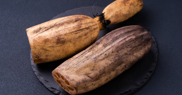 【徹底解剖】れんこんの黒い点々・変色は心配ない？理由から保存方法、調理のコツ、栄養まで詳しく解説