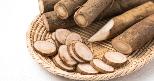 ごぼうの保存方法｜土付き・洗いごぼう別、冷蔵・冷凍で長持ちさせるコツ