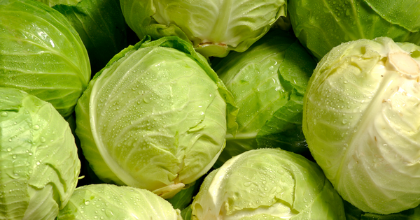 キャベツ4分の1は何グラム？料理の目安量と重さの秘密