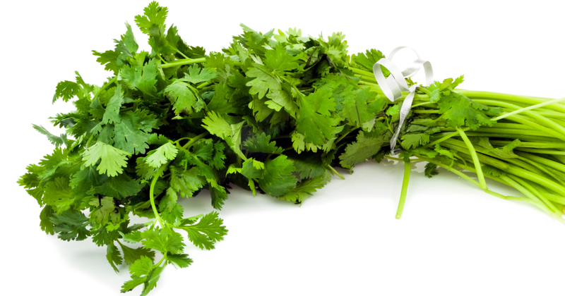パクチーとは？栄養・効果から保存方法・食べ方まで徹底解説！