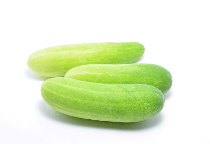 白瓜：特徴、旬、美味しい食べ方を徹底解説