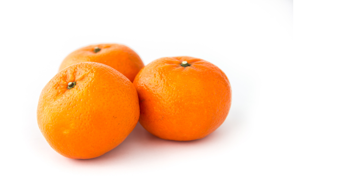 ミカン科の果物図鑑：代表的な種類から意外な仲間まで