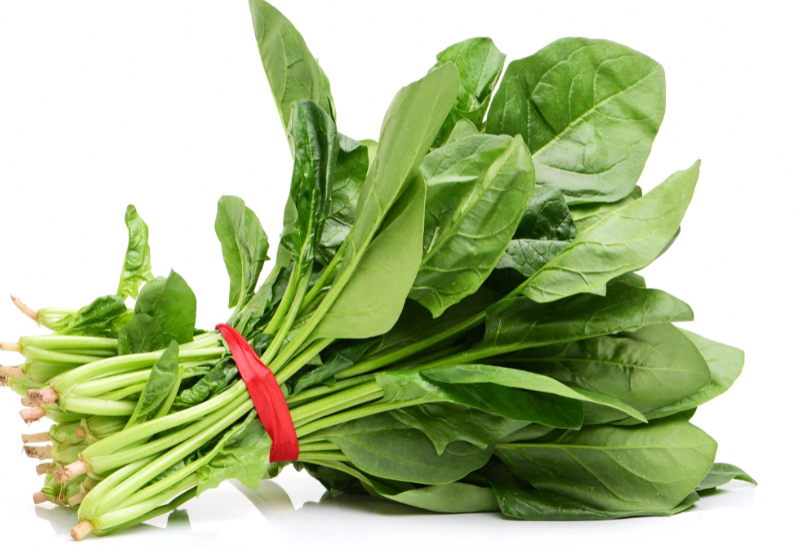 茹でたほうれん草の冷蔵保存：日持ちを最大限に伸ばす方法