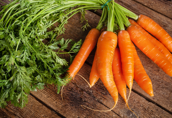 フルーツ人参とは