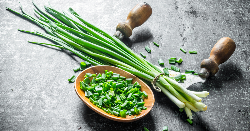 チャイブとは？ネギとの違い、効果・効能から食べ方・レシピまで徹底解説