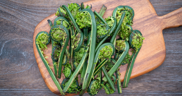 乾燥ぜんまいの極意：時短から本格派まで、プロが教える絶品復元術