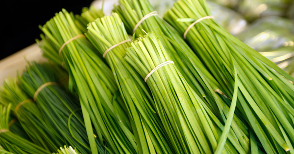 ニラの植え替え時期：成功の鍵はここにあり！時期、方法、注意点を徹底解説