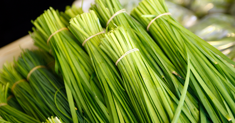 ニラの植え替え時期：成功の鍵はここにあり！時期、方法、注意点を徹底解説