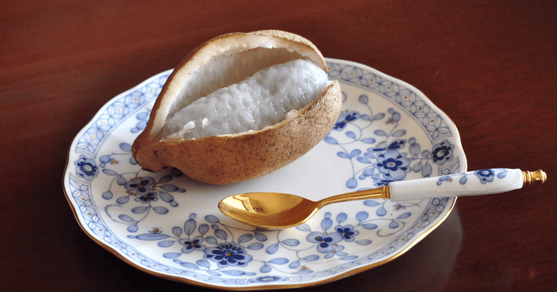 あけびの皮を味わい尽くす！ 苦味を活かした食べ方・レシピ完全ガイド