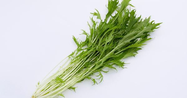 プランターでも簡単！水菜（京菜）栽培の完全ガイド：種まきから収穫、長期栽培のコツ