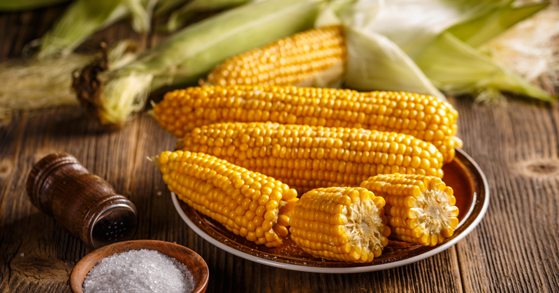 トウモロコシは世界の主食：多様な食文化を支える力