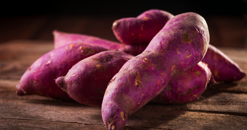 北海道さつまいも栽培：冷涼な地で拓く、甘い未来