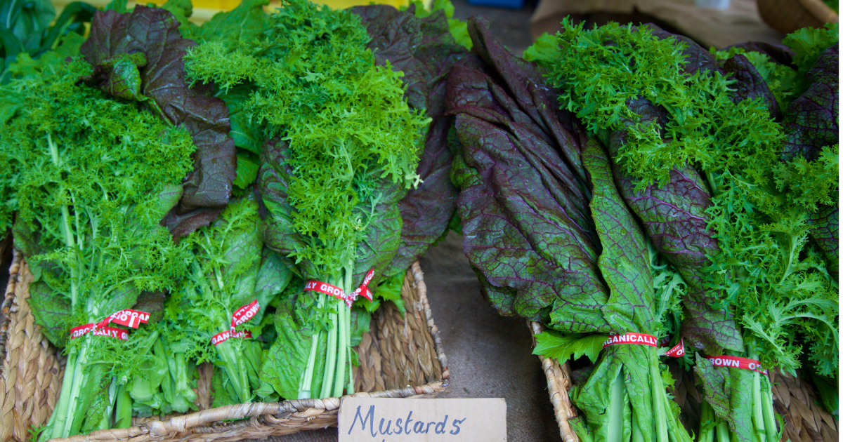 知っておきたいからし菜の食べ方：特徴、旬、種類、食べ方、レシピ