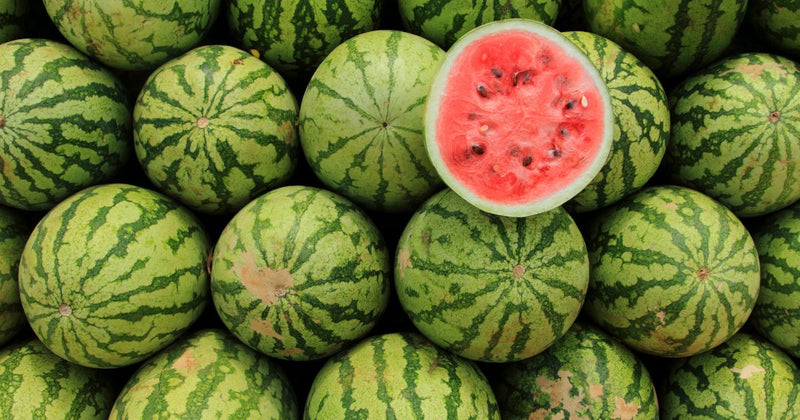 【2024年最新】スイカ生産量ランキング：日本一はどこ？美味しいスイカの見分け方も解説