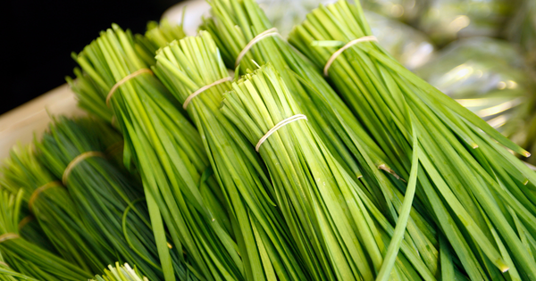 ニラとは？知られざる栄養と活用法