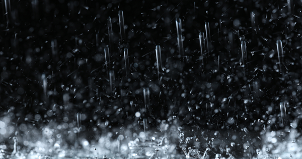 しっとり、ほろり。雨情を宿す和菓子「村雨」の魅力と物語