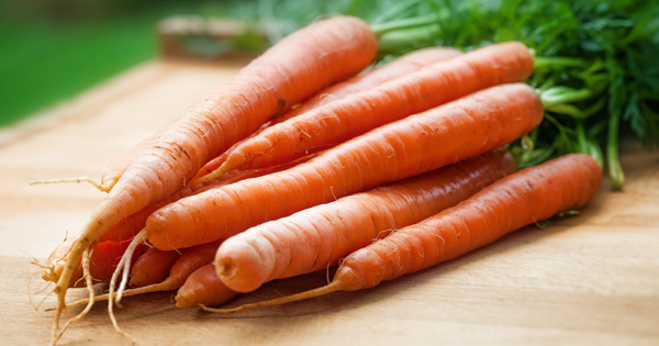 家庭菜園でニンジンを育てる！種まきから収穫までの完全ガイド