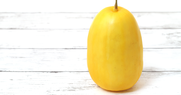 マクワウリ収穫時期の見極め方：家庭菜園で成功する収穫のコツ